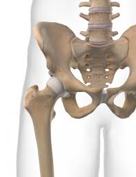 Hüftarthrose ist eine der am weitesten verbreiteten gelenkerkrankungen. Huftarthrose Coxarthrose Gelenkerhaltende Therapie Des Huftgelenks Gelenk Klinik De