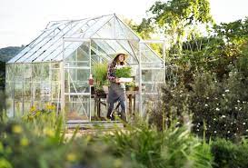 We did not find results for: What Greenhouse To Buy Thompson Morgan