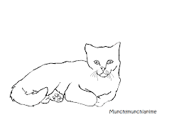 Cat Laying Down Base By Munchymunchianime On Deviantart 1 spawning 1.1 villages 1.2 swamp hut 1.3 bedrock edition 2 drops 3 behavior 3.1 stray cat 3.2 breeding 3.3 healing 4 appearance an image tweeted by dinnerbone of his attempt at making a cat laying down animation. cat laying down base by