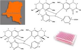 Image result for Triclisia