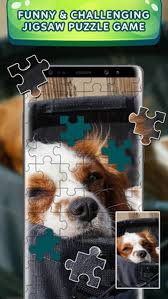 It has tons of beautiful jigsaw puzzles. Jigsaw Puzzles Free Game Offline Picture Puzzle Apk For Android Download