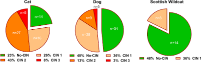 Renal Accumulation Of Prooxidant Mineral Elements And Ckd In Domestic Cats Scientific Reports