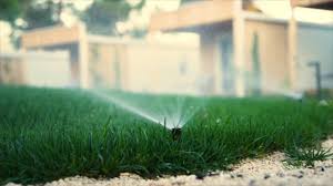 Some of the major and most obvious signs that suggest that your lawn needs watering are wilting leaf blades lawn sprinklers, on the other hand, are extremely safe in that regard because their heads are underground, and they only come up when the lawn. How To Water Your Grass For A Healthy Lawn Southern Living