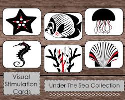 Black White And Red Images For Babies Black White Red High Contrast Baby Flash Cards Montessori Etsy Baby Flash Cards Printable Flash Cards High Contrast