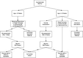 Evaluation Of Asymptomatic Heart Murmurs Sciencedirect