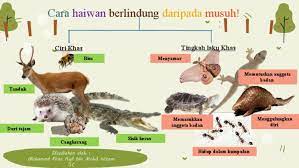 Saya akan bercerita tentang hubungan terlarang ini dengan ibu kandung saya sendiri. Tingkah Laku Khas Haiwan Berlindung Daripada Musuh Firas