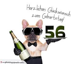 Gluckwunschkarte Mit Hund Zum 56 Geburtstag Geburtstagsspruche Welt
