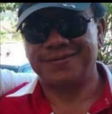 How do blood vessels keep the body healthy?