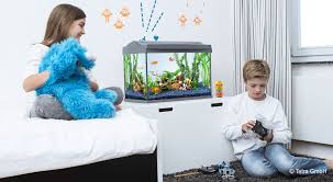 Maybe you would like to learn more about one of these? Aquariums For Children Tetra Advanced Fishkeeper Blog