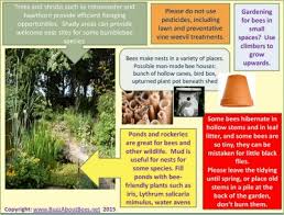 Maybe you would like to learn more about one of these? Planning A Bee Friendly Garden Pdf Guide Tips To Attract More Bees