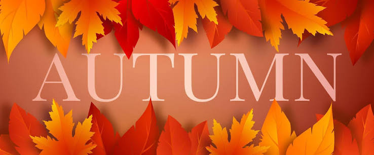Autumn season banner template with red, yellow, orange autumn leaves on a brown background. Design for greeting card, advertising, web banner, flyer. Vector illustration. 4490742 Vector Art at Vecteezy