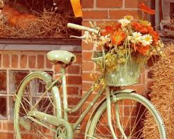 Get My Old Bikes Out Of The Shed And Paint Them Bicycle Shabby Chic Photography Polka Dot Bike