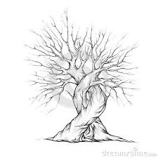 Two Intertwined Trees Tree Pencil Sketch Tree Of Life Art Family Tree Drawing