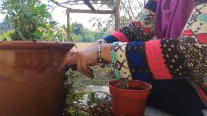 Kamu dapat menggunakan obat bisul yang paling ampuh di bawah ini. Deko Pasu Bunga Pecah Mama D