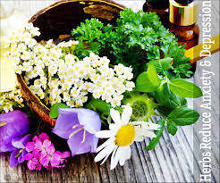Read more about these potential some herbs can cause side effects or interact with other medications. Herbs That Reduce Anxiety And Depression