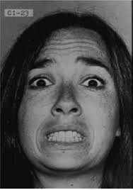 Kognitive processer, der ligger til grund for social interaktion