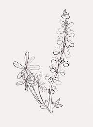 Wild Lupine By Bernadette Pascua Flower Sketches Flower Drawing Flower Tattoo