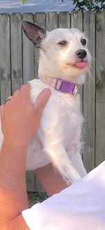 Ruby is 7 months old