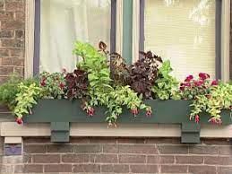 It will definitely brighten that special someone's day! Planting Window Boxes For Shade Diy