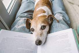 25 fictional characters to name your dog after. 50 Dog Names From Literature
