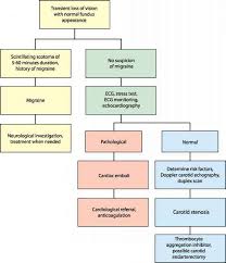 Transient Visual Loss Optic Nerve Arthritis Research