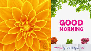 Discover and share the best gifs on tenor. Greetings Live Free Daily Greetings Pictures Festival Gif Images Morning Flowers Gifs Animation For What S App Status