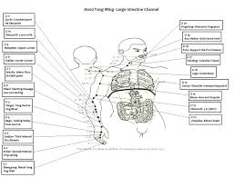 Pin By Jillian Imilkowski On Acupuncture Point Summaries