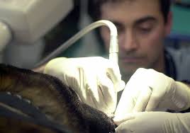 192 Dental squadron Images: NARA & DVIDS Public Domain Archive Public  Domain Search