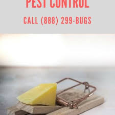 We provide full termite treatment & termite inspection services for either your commercial or residential building. Tri City Termite And Pest Control Pest Control 141 Sharp Ave London Oh Phone Number Yelp
