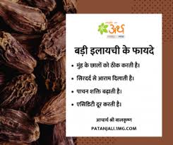 à¤¬à¤¡ à¤à¤² à¤¯à¤ à¤ à¤« à¤¯à¤¦ à¤¨ à¤à¤¸ à¤¨ Black Cardamom Benefits Uses In Hindi Trova immagini stock hd a tema black cardamom kaali moti elaichi indian e milioni di altre foto, illustrazioni e contenuti vettoriali stock royalty free nella vasta raccolta di shutterstock. à¤¬à¤¡ à¤à¤² à¤¯à¤ à¤ à¤« à¤¯à¤¦ à¤¨ à¤à¤¸ à¤¨