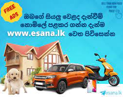 We did not find results for: Post Free Ads Sri Lanka Post Free Classified Ads In Sri Lanka In 2021 Free Classified Ads Post Free Ads Free Ads