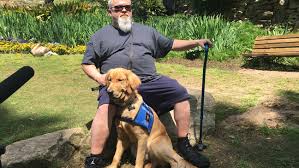 Puppy programs $3,900 and up. Service Dog Boot Camp Nonprofit Gives Two Asheville Veterans A New Lease On Life Wlos