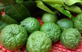 Kemudian, anda balut telur itu menggunakan tuala bersih. Mandi Air Daun Limau Purut Petua Berkesan Hilangkan Keletihan Buang Toksin Dalam Badan Mingguan Wanita