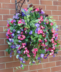 Great savings & free delivery / collection on many items. Hanging Planters Baskets Garden Outdoors Outdoor Artificial Flowers Hanging Basket Purple And Orange Basket And Bark