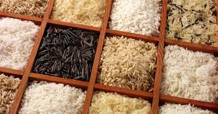 Come si cuoce il riso venere. Perche Mangiare Il Riso Venere Proprieta E Benefici