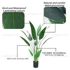 Skybird presents #skybird,#bygod,#bjrandhawa#newvideo hlw my esvid family plzz watch new video & subscribe. Buy Jombeli Artificial Skybird Tree Seetracker Malaysia