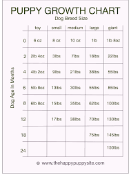 puppy development stages with growth charts and week by week