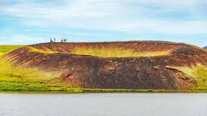 Image result for Pseudovigna