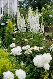 25 Awesome White Garden Ideas With White Flower Collection In Your Garden Freshouz Com White Gardens Moon Garden White Plants