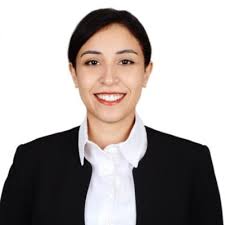 Enhance Satisfaction with Multilingual Support Software