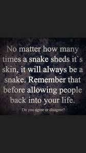 17 Sneaky People Quotes Ideas Quotes Inspirational Quotes Me Quotes