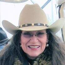 Melissa Harbour's Instagram, Twitter & Facebook