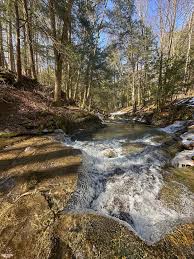Walk With Me: Spring melt and runoff can be a sight to behold! Join me as  we walk at Wolcott Falls (Wayne County), not far from Lake Ontario in  Wolcott, NY. March