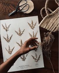 Cadeaux De Createurs Hello Blogzine Blog Deco Lifestyle Www Hello Hello Fr Fleurs Pressees Herbier Arbuste En Pot