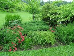 We bring you five great ideas for. Garden Planning Iii Mixed Borders And Rock Gardens