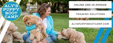 Maybe you would like to learn more about one of these? Aly S Puppy Boot Camp Home Facebook