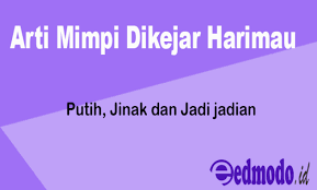 Mimpi dikejar buaya dengan mimpi digigit buaya memiliki hubungan dalam hal arti. Arti Mimpi Dikejar Harimau Putih Jinak Dan Jadi Jadian
