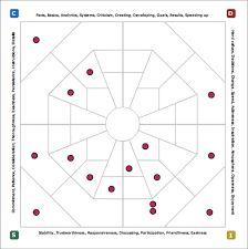 using team disc assessments team application