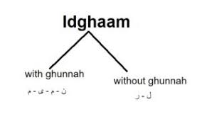 The letters causing idghaam of noon saakinah and tanween are those contained in the word َ رَ مَ لَُ و ن Al Idgham Noon Sakinah Learn Quran Tajweed And Arabic