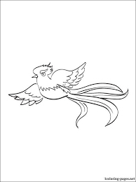 It has a green body plumage with a red breast. Pin On Spanish For Kids